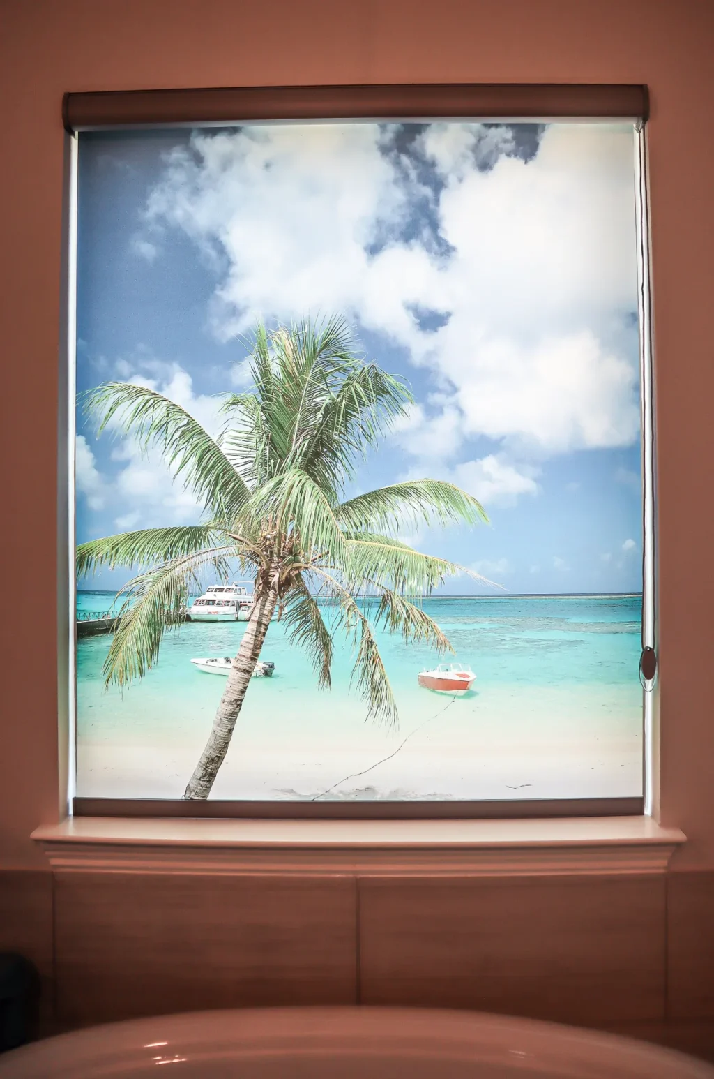 JDX Blinds and Curtains Printed Shades