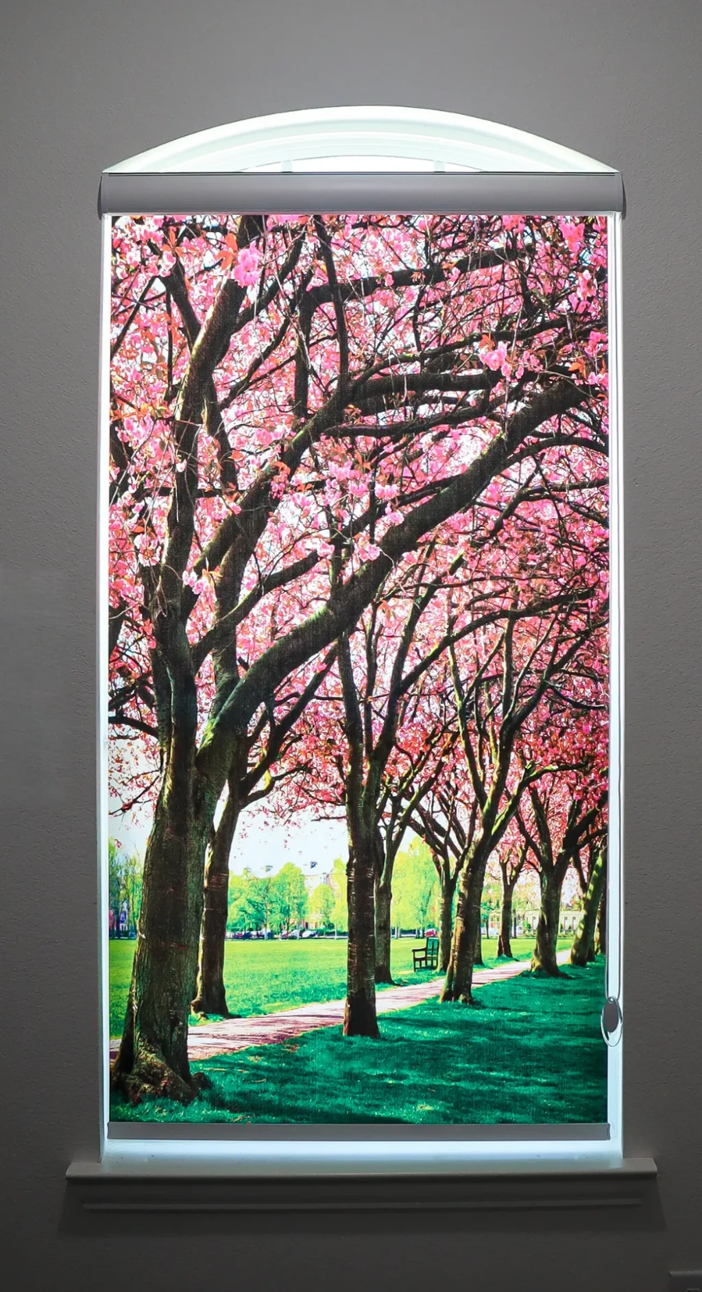 JDX Blinds and Curtains Printed Shades