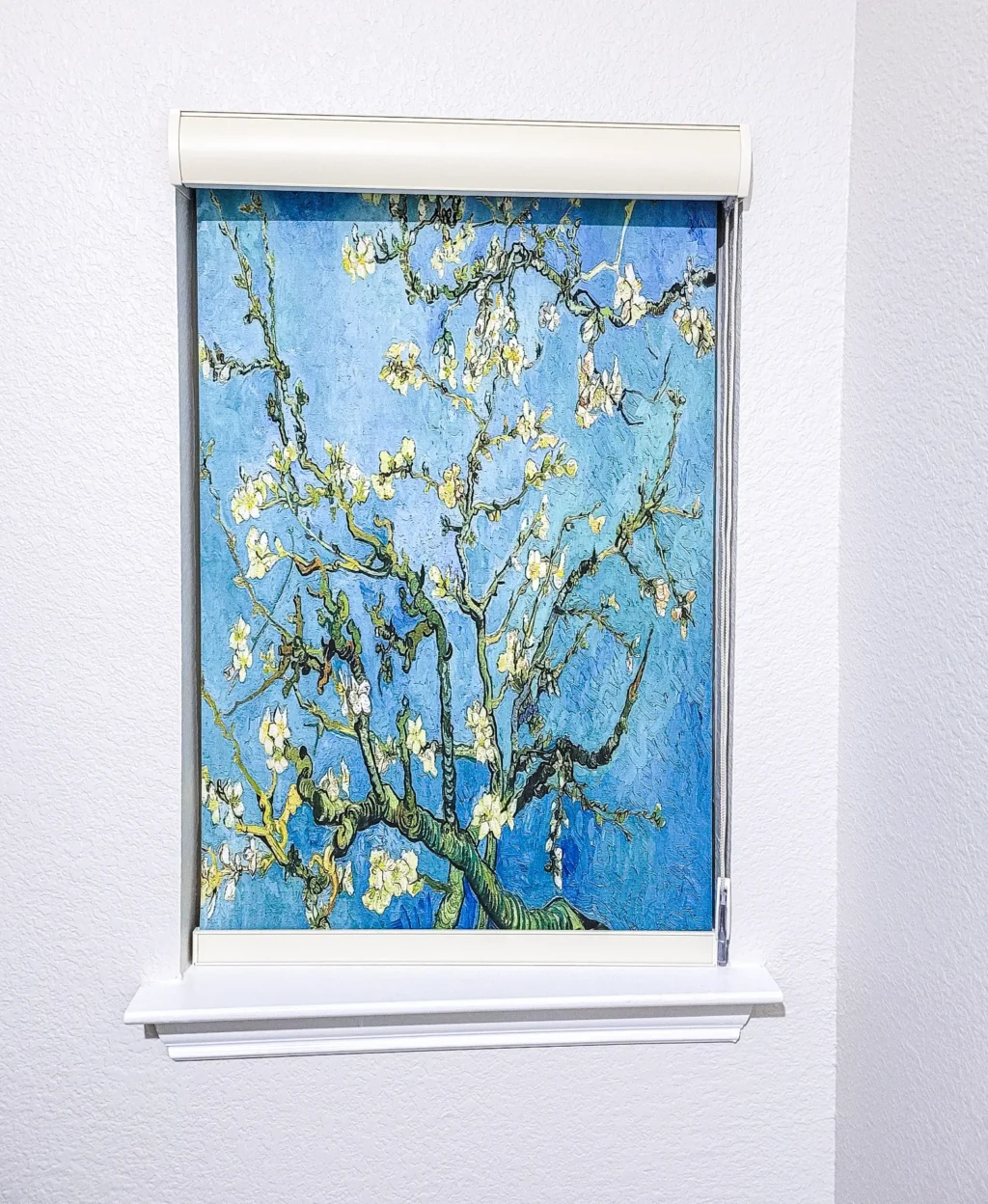 JDX Blinds and Curtains Printed Shades